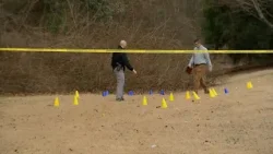 Shots fired damage homes and vehicles in Raleigh neighborhood