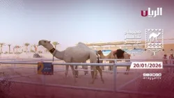 مهرجان قطر للإبل - جزيلات العطا - 20-01-2026
