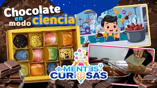 Why does chocolate shine? The science behind the sweet...