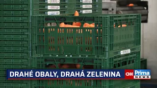 Pětinu nákladů zelinářů tvoří vratné přepravky. Bez nich ale nic neprodají, jde prý o monopol