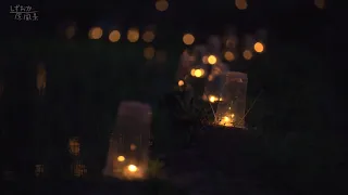 ～青田にともす～