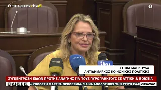 ΣΥΓΚΕΝΤΡΩΣΗ ΕΙΔΩΝ ΠΡΩΤΗΣ ΑΝΑΓΚΗΣ ΓΙΑ ΤΟΥΣ ΠΥΡΟΠΛΗΚΤΟΥΣ ΣΕ ΑΤΤΙΚΗ & ΒΟΙΩΤΙΑ