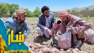 ښار، له شیوکیو سیمې څخه د زمري مفکر ځانګړی راپور
