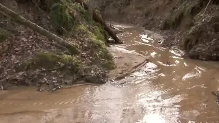 Researchers drill 400 feet beneath Meeman-Shelby Forest to study Memphis aquifer