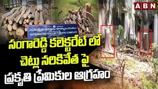 సంగారెడ్డి కలెక్టరేట్ లో చెట్లు నరికివేత పై ప్రకృతి ప్రేమికుల ఆగ్రహం | Sangareddy Collectorate | ABN