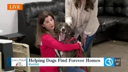 Потеряно и в фунте Потеряно и в фунте