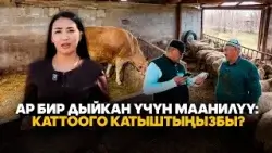 Ар бир дыйкан үчүн маанилүү: Каттоого катыштыңызбы?