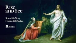 Встань и смотри!