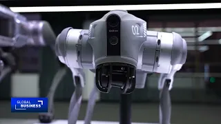 Unitree IPO: Is China’s robot boom just beginning?