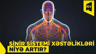 Sinir sistemi xəstəliklərinin artımında gizli amillər