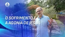 Jesus carregando a cruz no caminho do calvário | Escola de Maria