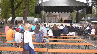 Dni mesta – Návštevníci
