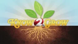 Tapping maple trees | Know 2 Grow