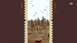 رسالة مهرجان خادم الحرمين الشريفين للهجن | يوم 24 يناير 2026