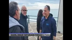 MAIORI, CINQUE TARTARUGHE TORNANO A CASA - SERVIZIO TG DEL 28/03/2026