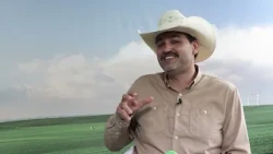 Vida Boiadeira: How Behind-the-Scenes and Social Media Bring Agribusiness Closer to Society | GAF...