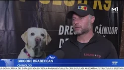 A man from Vulcănești allegedly mauled to death by his own dog. Police are investigating the case