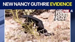 Nancy Guthrie: Black gloves found near home