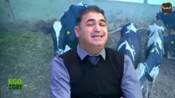 ?12 ألف دينار هي تكلفة البقرة الواحدة ⏪مقترح الزيادة في سعر الحليب !!