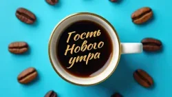 ?Что делать с натуральной елкой после праздников?