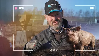 Bondemand er blevet influencer