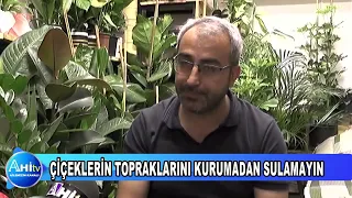 ÇİÇEKLERİN TOPRAKLARINI KURUMADAN SULAMAYIN