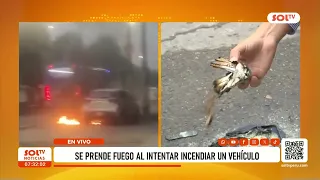 Vehicle set on fire