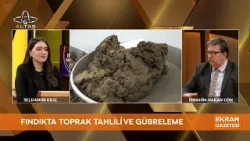 Ekran Gazetesi | Fındıkta doğru bakım nasıl olur? Ziraat Mühendisi İbrahim Hakan Gün anlattı