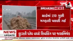 Rajkot | રાજકોટમાં માવઠાના કારણે નુકસાન | Unseasonal Rain | Crop Damage | Gujarat