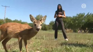 Bambi je pronađen slabašan i nemoćan, a onda je upoznao Elenu: Priča o neobičnom prijateljstvu