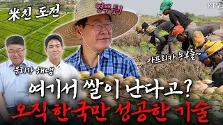 아프리카부터 몽골까지! 오직 한국만 성공! K-벼 재배 기술로 세계 식량안보를 책임지다! #농촌진흥청 #명받았습니다 #이재명대통령 #ktv국민방송