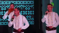 Ansamblul Soimanii - Dragoste