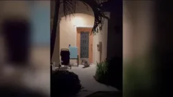 Caught on camera: Alligator spotted outside Fort Myers doorstep