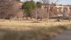 Denver sees one of its warmest winters on record with 29 days hitting 60 degrees or above