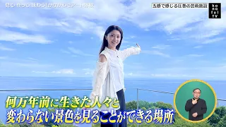カナフルTV　9月20日　見て・作って・味わう！かながわでアート体験