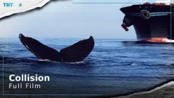 Collision | Storyteller | Full Film