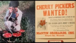 За вишневым пирогом: нерассказанные истории садов округа Дор.