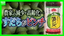 【すだちがピンチ】生産量は約20年で「半減」農家減少・高齢化が背景に？関西人の定番『旭ポンズ』にも影響…新品種『勝浦1号』は苦境救うか（2026年10月8日）