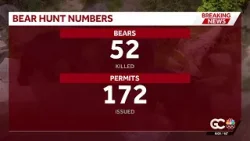2025 Florida black bear hunt results released by FWC