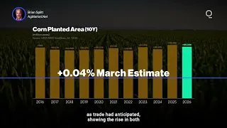 Crucial USDA Report Offers Grain Traders Hits and Misses | Presented by CME Group