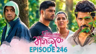 Sihineka Thaniwela (සිහිනෙක තනිවෙලා) | Episode 246 - (2026-09-11) | ITN