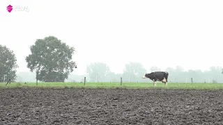 Farmers near Natura 2000: “What did we do wrong?”
