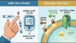 TIỂU ĐƯỜNG: hiểu đúng không sợ