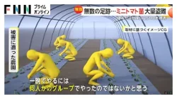 「窃盗団にやられた！」ミニトマト苗2500本約112万円が盗まれる 植えた3日後に抜かれプロ集団の犯行か 茨城（2026年03月26日）