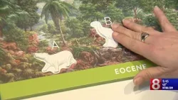 Accessibility a cornerstone of Peabody Museum updates
