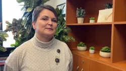 Zber vianočných stromčekov