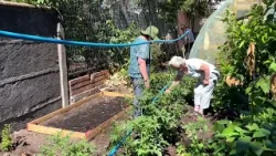 Huertas que sanan: Taller del Centro Diurno de la Municipalidad de Chiguayante