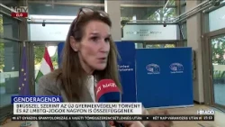 Az Európai Parlament delegációja a gyermekvédelmi törvény módosítását is méltatta - HírTV