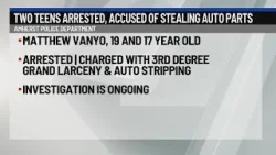 2 teens arrested for allegedly stealing tires from dealership