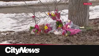 Tumbler Ridge: Court documents reveal new details on mass shooting